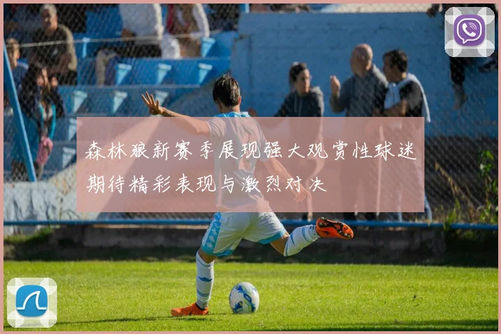 森林狼新赛季展现强大观赏性球迷期待精彩表现与激烈对决