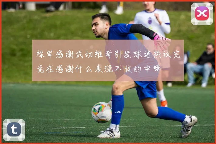 绿军感谢武切维奇引发球迷热议究竟在感谢什么表现不佳的中锋